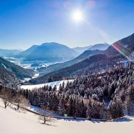 Feriehus Steinberger Hof Alm Inkl. Chiemgau Karte