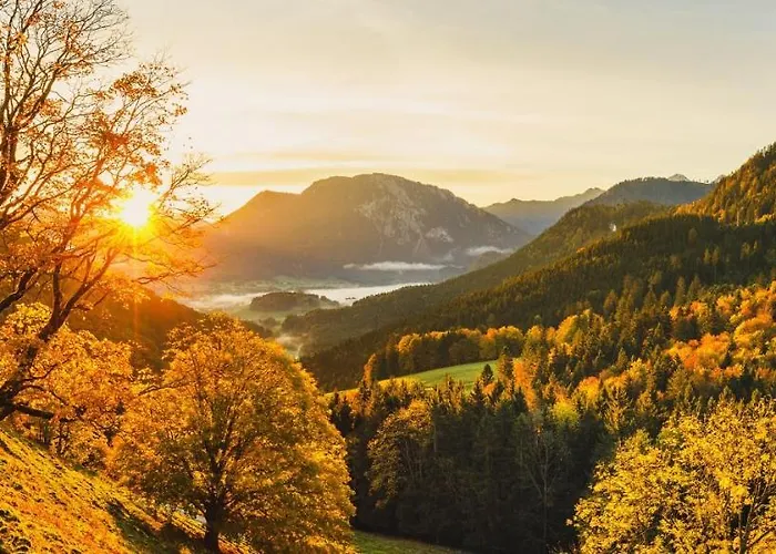 Steinberger Hof Alm Inkl. Chiemgau Karte Рупольдинг