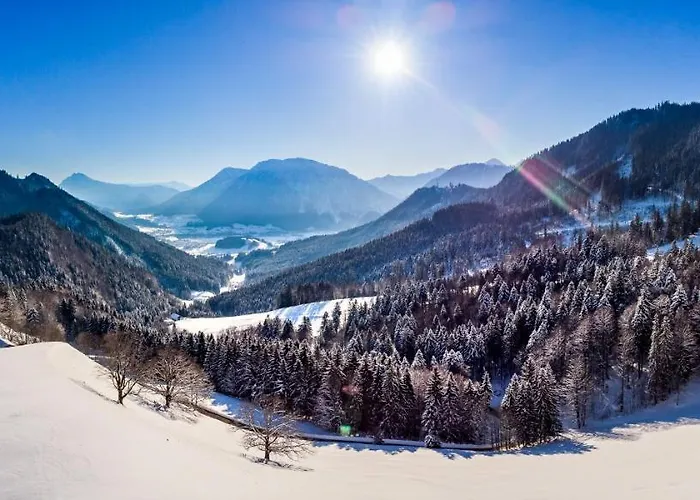 펜션 Steinberger Hof Alm Inkl. Chiemgau Karte