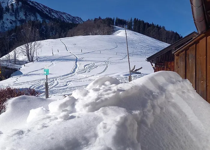 Steinberger Hof Alm Inkl. Chiemgau Karte 펜션 *